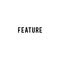 The Feature Stores